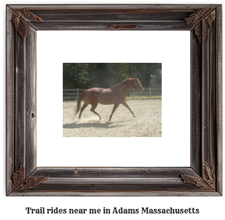 trail rides near me in Adams, Massachusetts